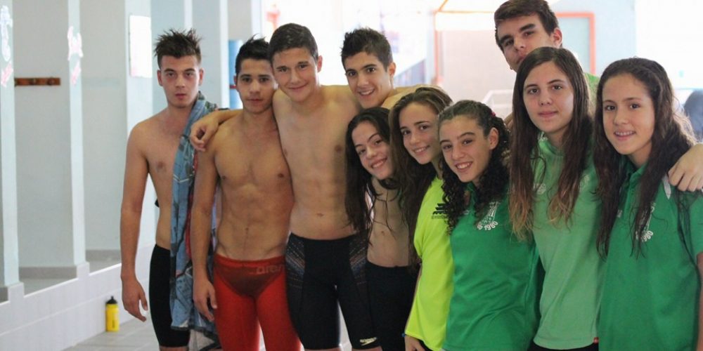 I control federativo que se celebró en Petrer 14/11/2015