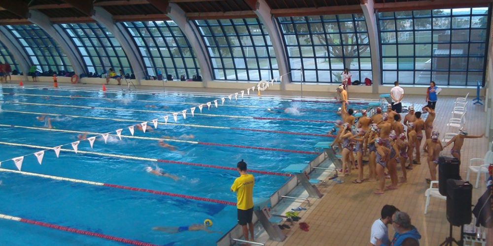 Pequeños benjamín y alevin compiten en torrevieja 21/11/2015