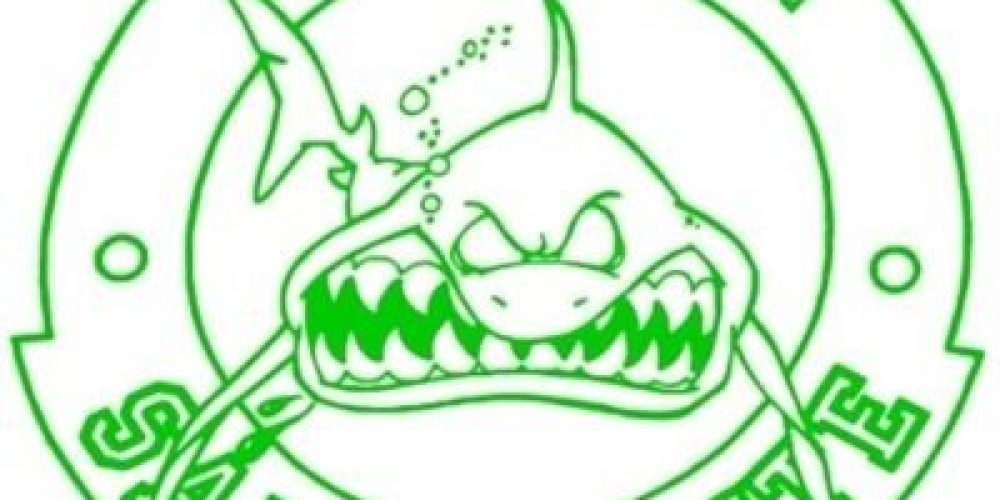 ¡El CLUB NATACION SAN VICENTE OS DESEA UNAS FELICES FIESTAS!