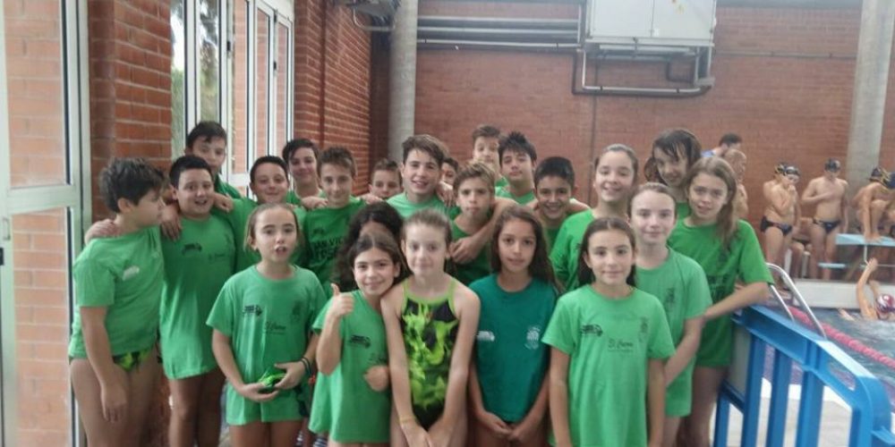 El pasado sábado 11 de Febrero la categoría benjamín del C.N. San Vicente se desplazo a Elda