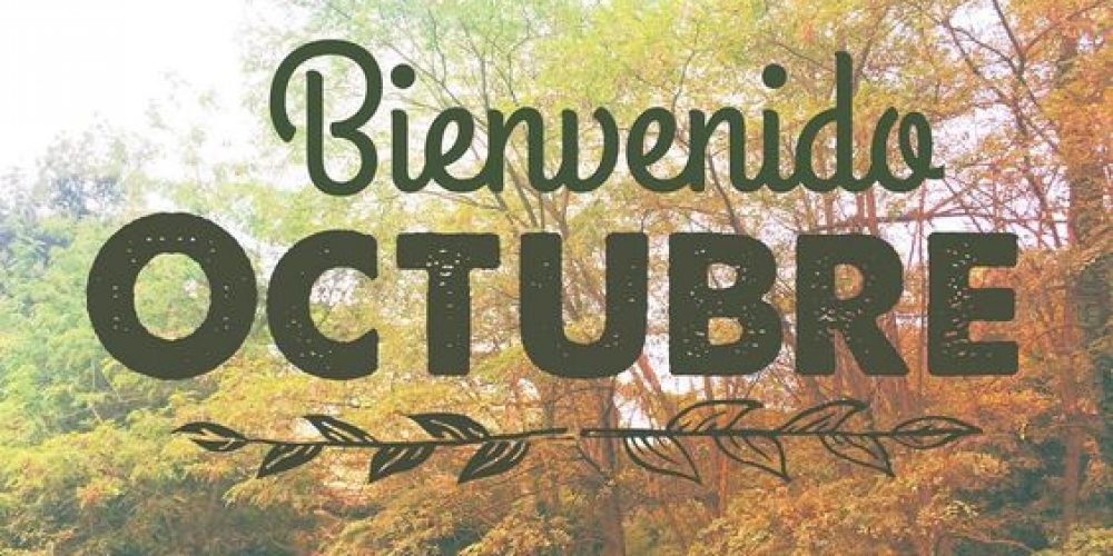 Noticias inicio de temporada